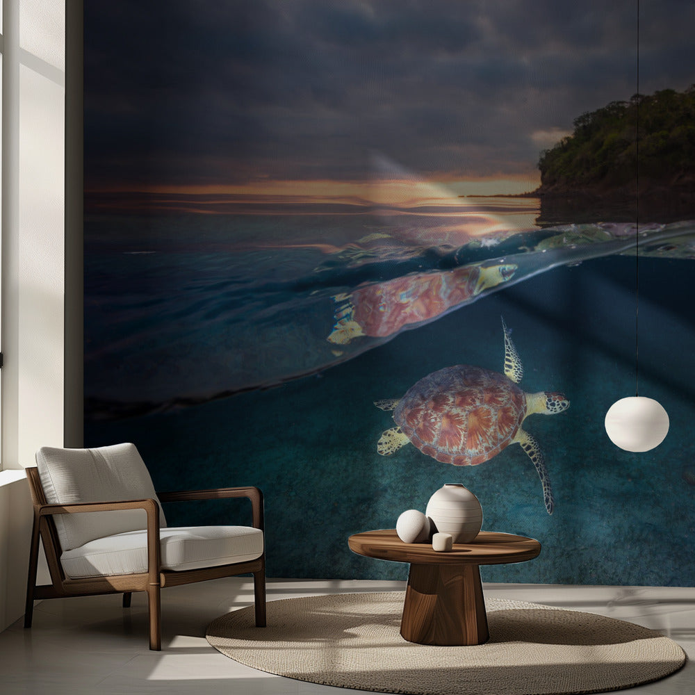 Grön sköldpadda med solnedgång | Fototapet