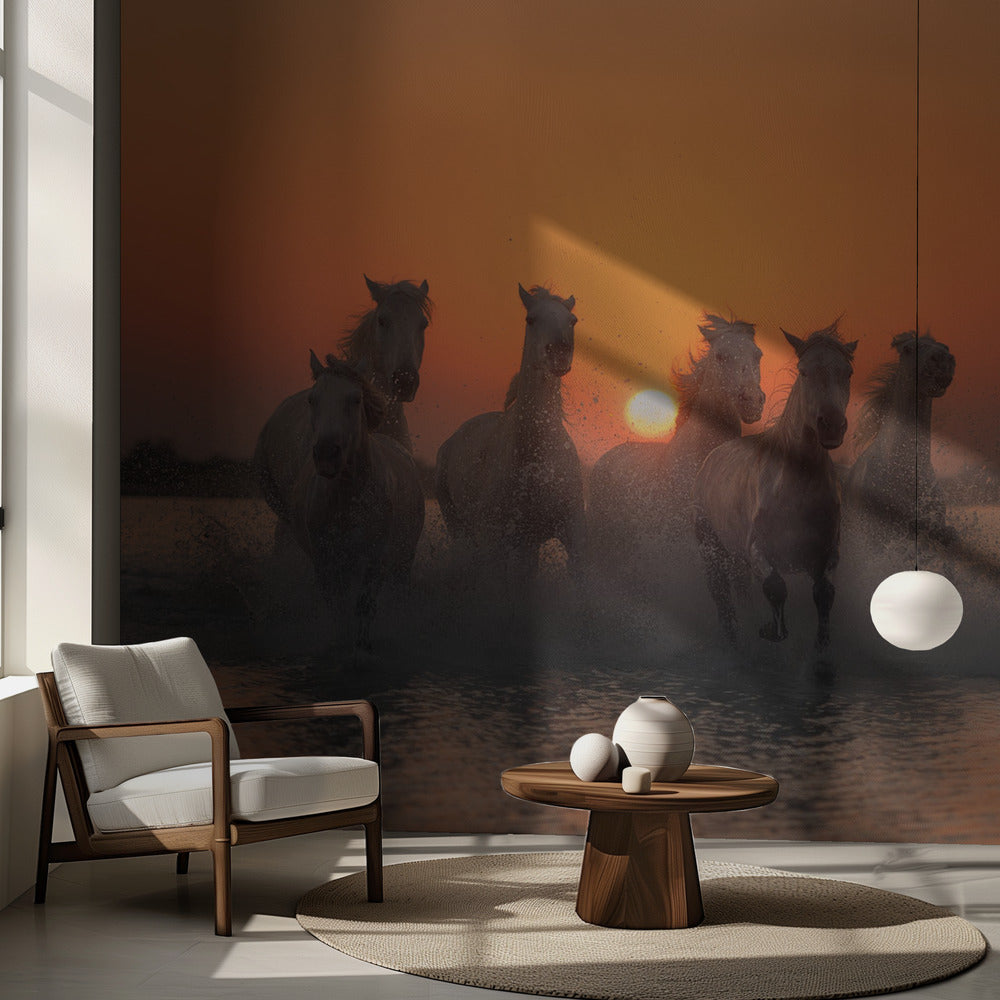 Solnedgång i Camargue | Fototapet
