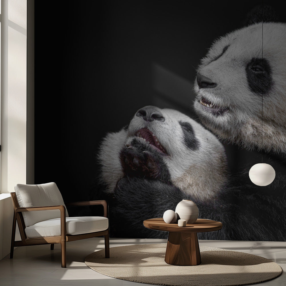 Pandor | Tapeter
