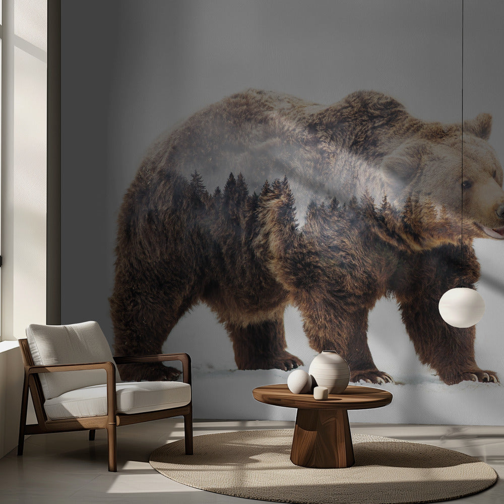 Björn | Fototapet