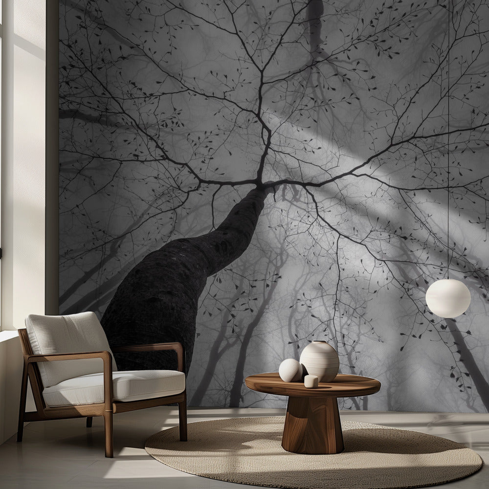 En vy över trädkronan | Fototapet