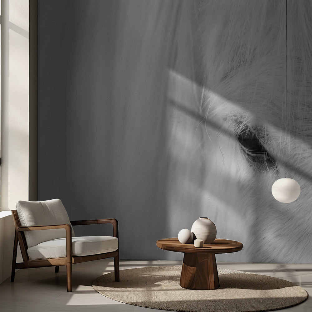 Islands viskningar | Fototapet