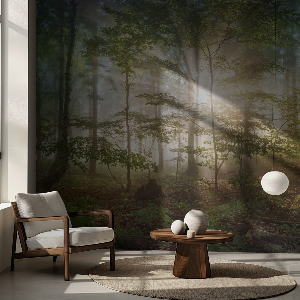 morgonsol | Fototapet