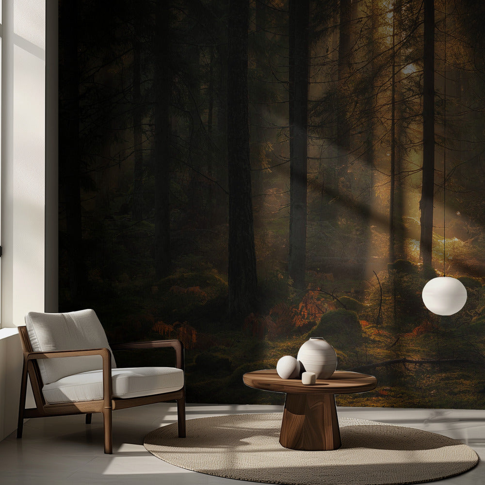 Ljuset i skogen | Fototapet