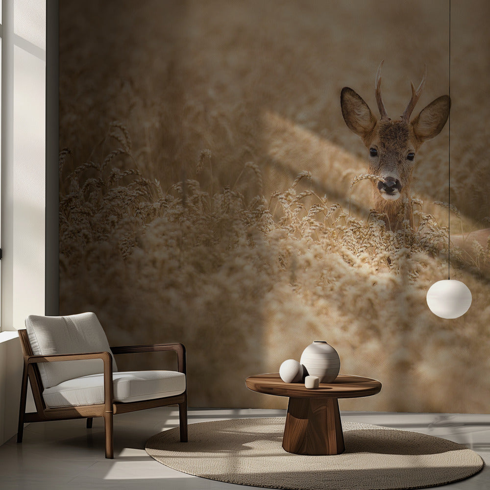 Hjort i fält | Fototapet