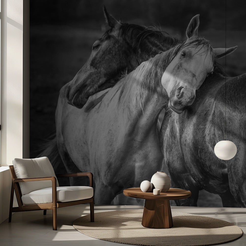 Varmt regn | Fototapet