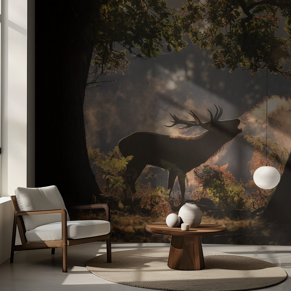 Han väntar i skuggorna | Fototapet