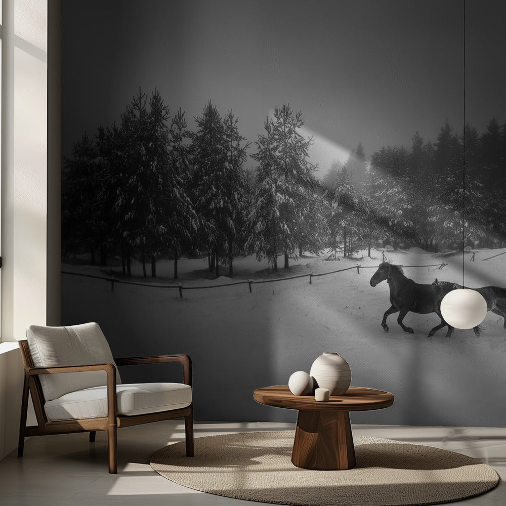 Namnlös | Fototapet