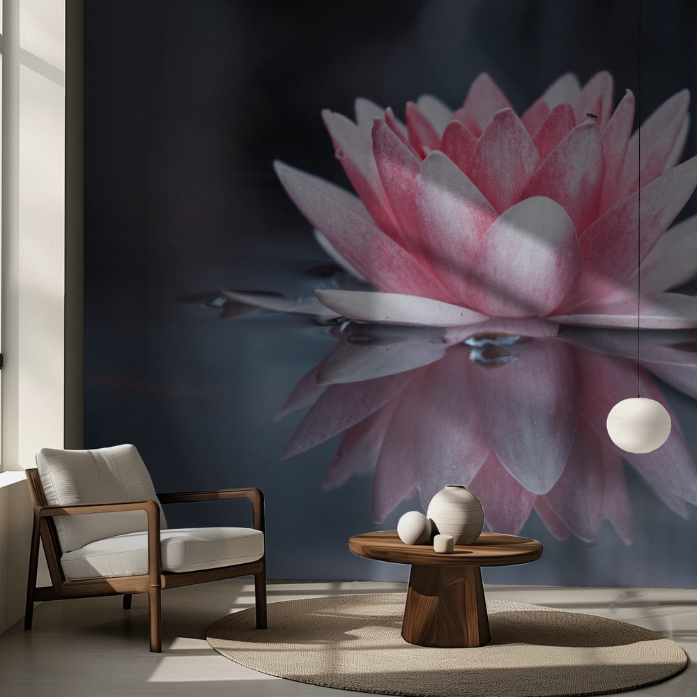 Padmasana | Fototapet