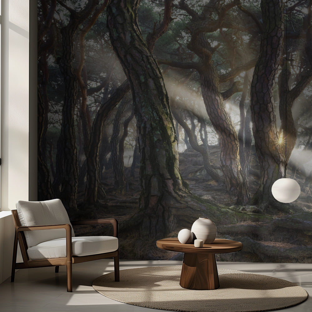 Heliga tallar | Fototapet