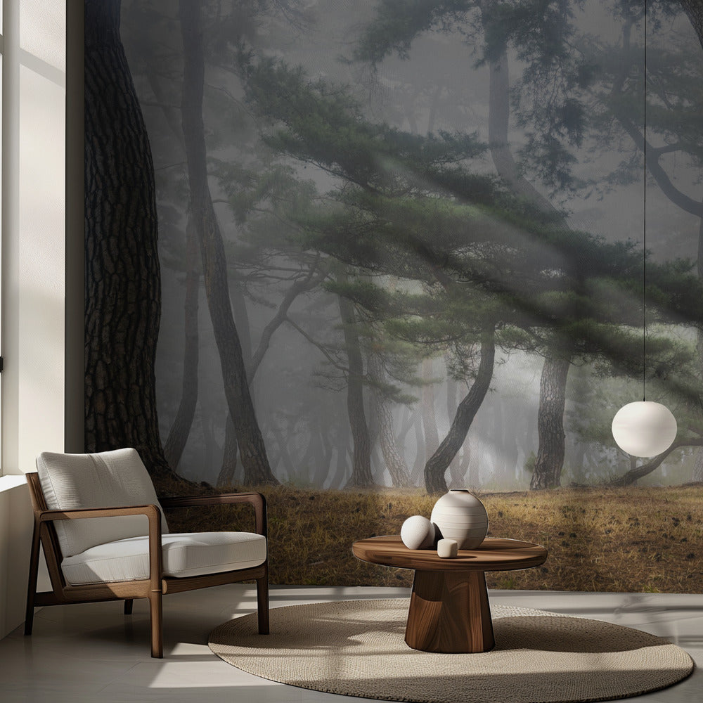 I den dimmiga tallskogen | Fototapet
