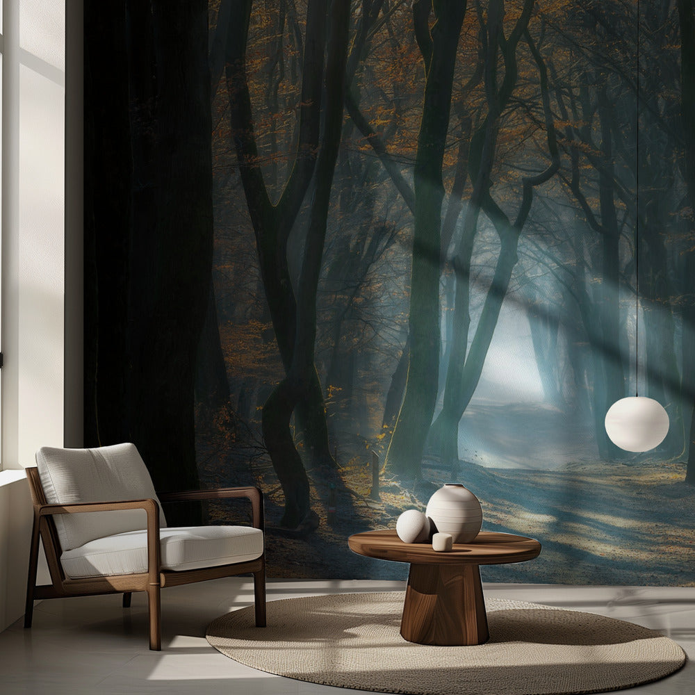 Kallt ljus | Fototapet