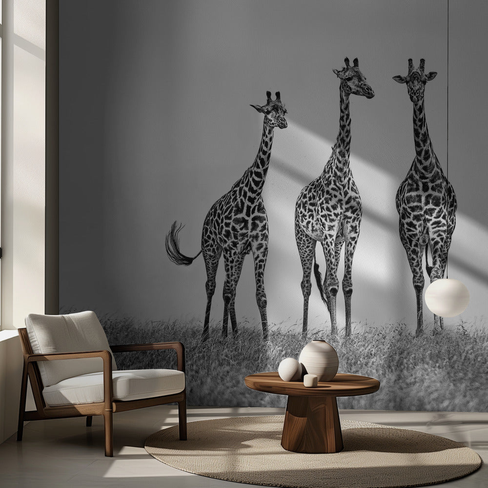 Giraffer på Maraslätterna | Fototapet