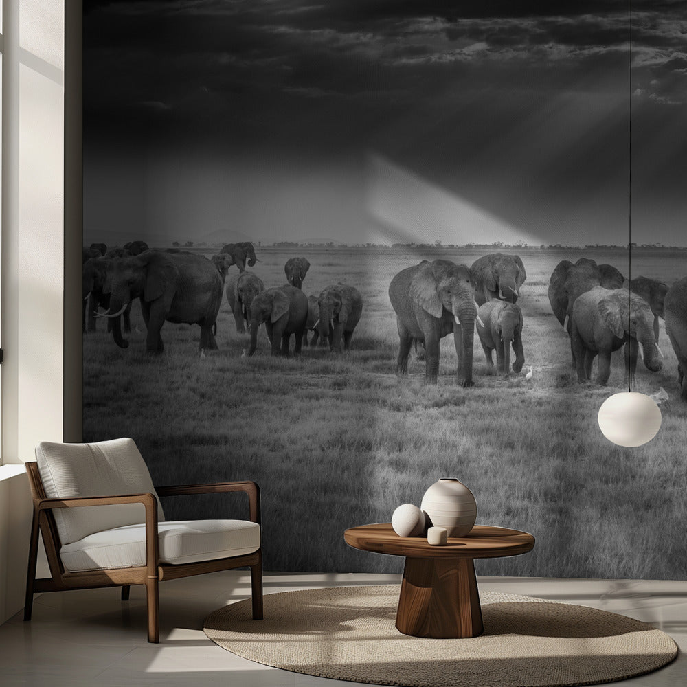 Frukost med tjockhudingar | Fototapet