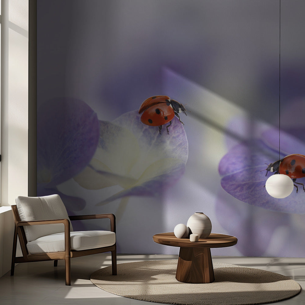 Rött och lila | Fototapet