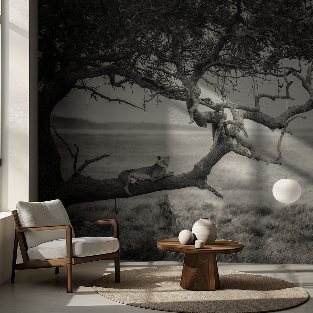 Drottning | Fototapet