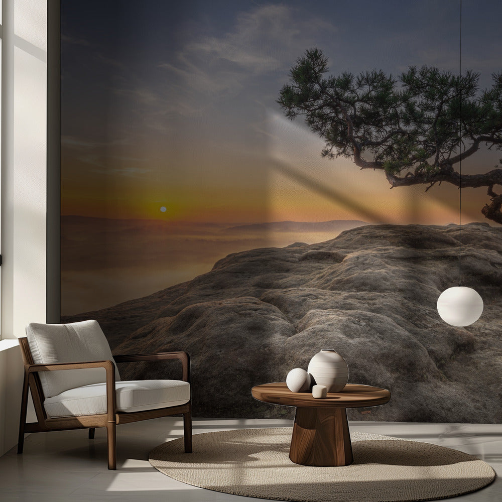 Gammal tall | Fototapet