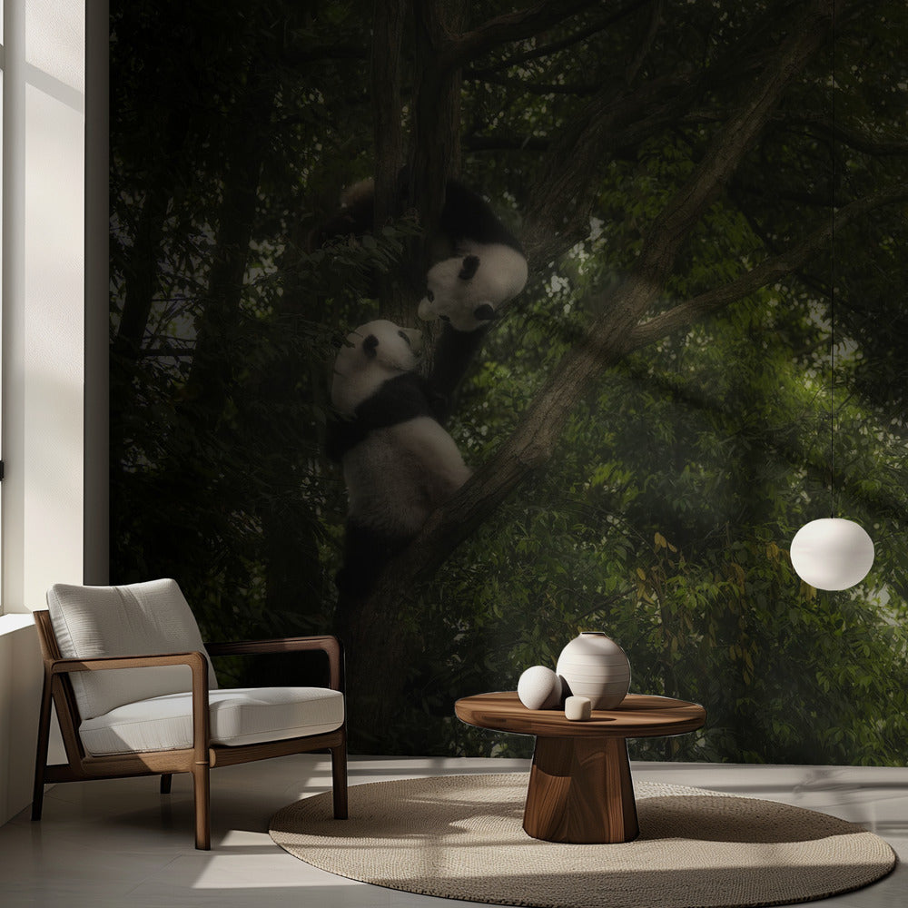 Panda | Tapeter