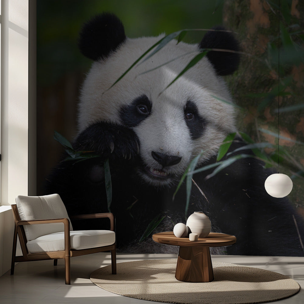 Bambustid | Fototapet