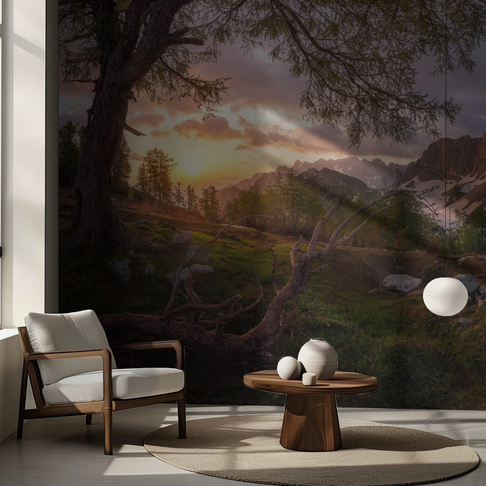 Magisk morgon | Fototapet