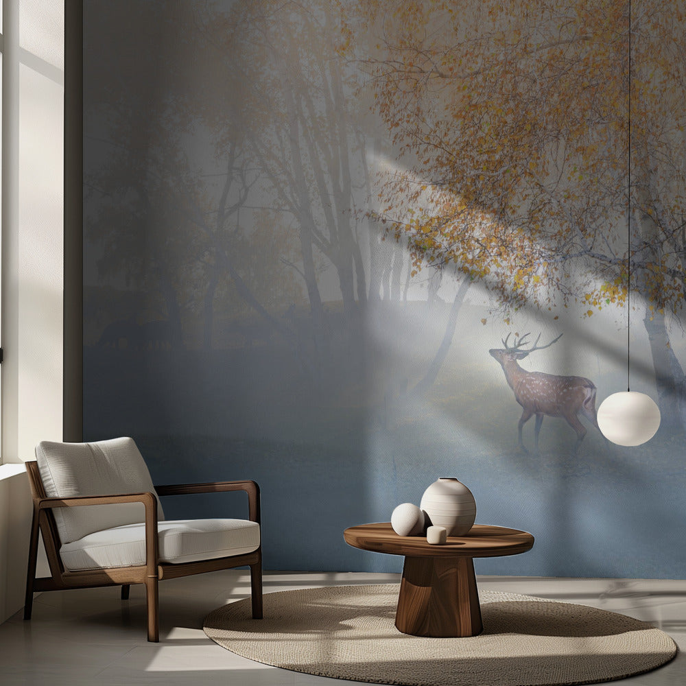 Älg försvunnen i dimman | Fototapet