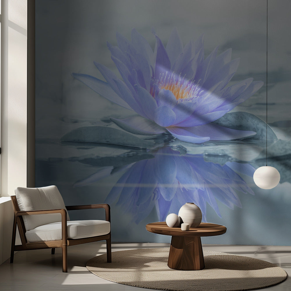 Reflektion | Fototapet