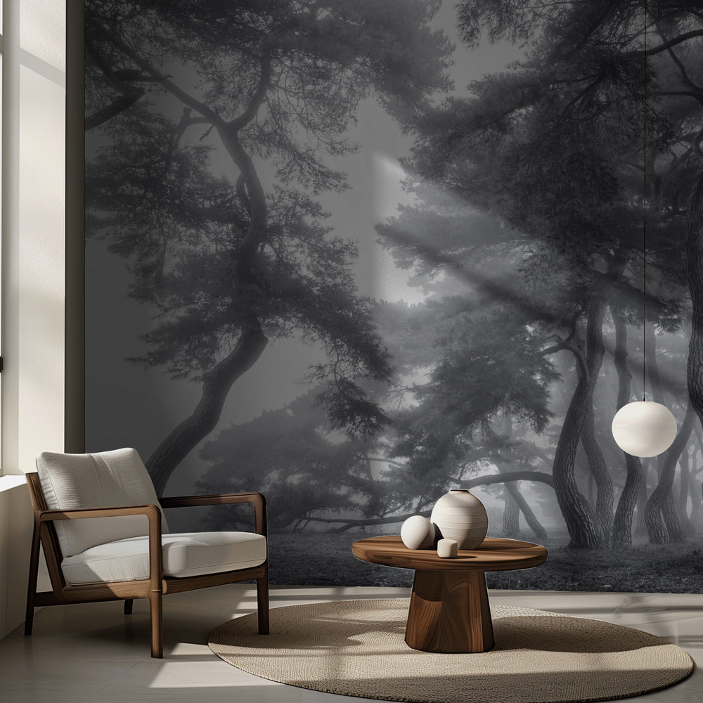 Håll ut i hundra år | Fototapet