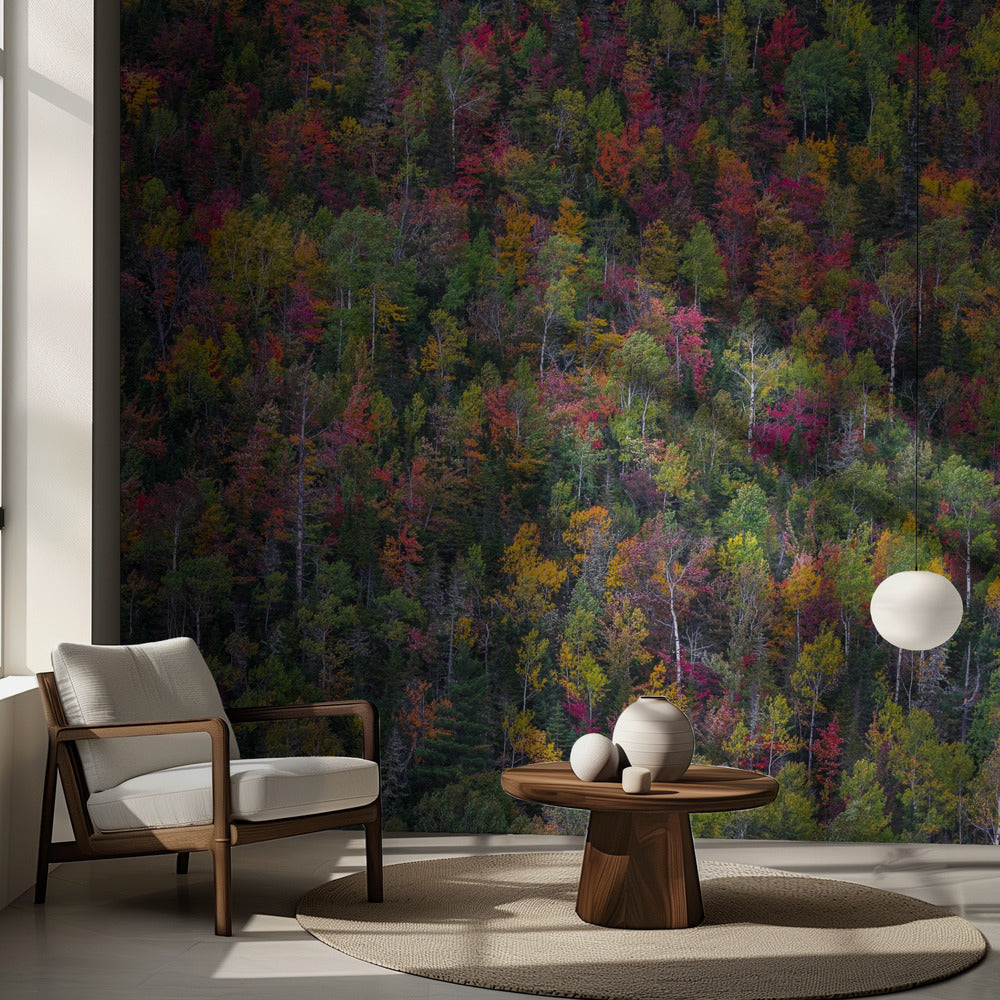 Färgpalett | Fototapet