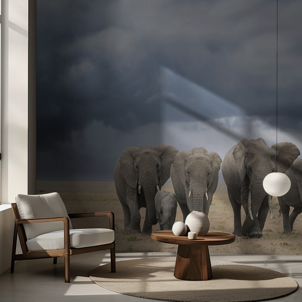 Elefantpromenad | Fototapet