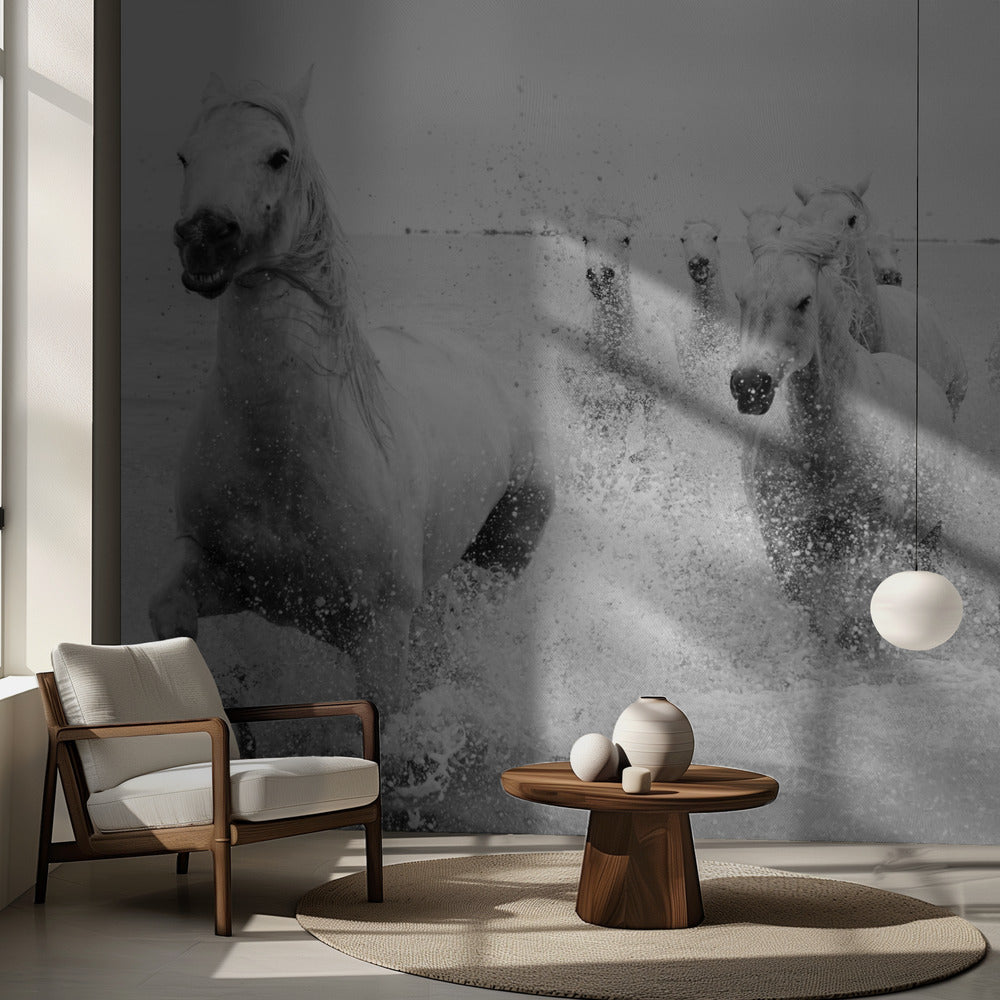 Vi kommer | Fototapet