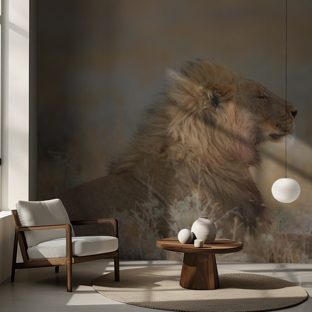 Hanlejon med unge | Fototapet