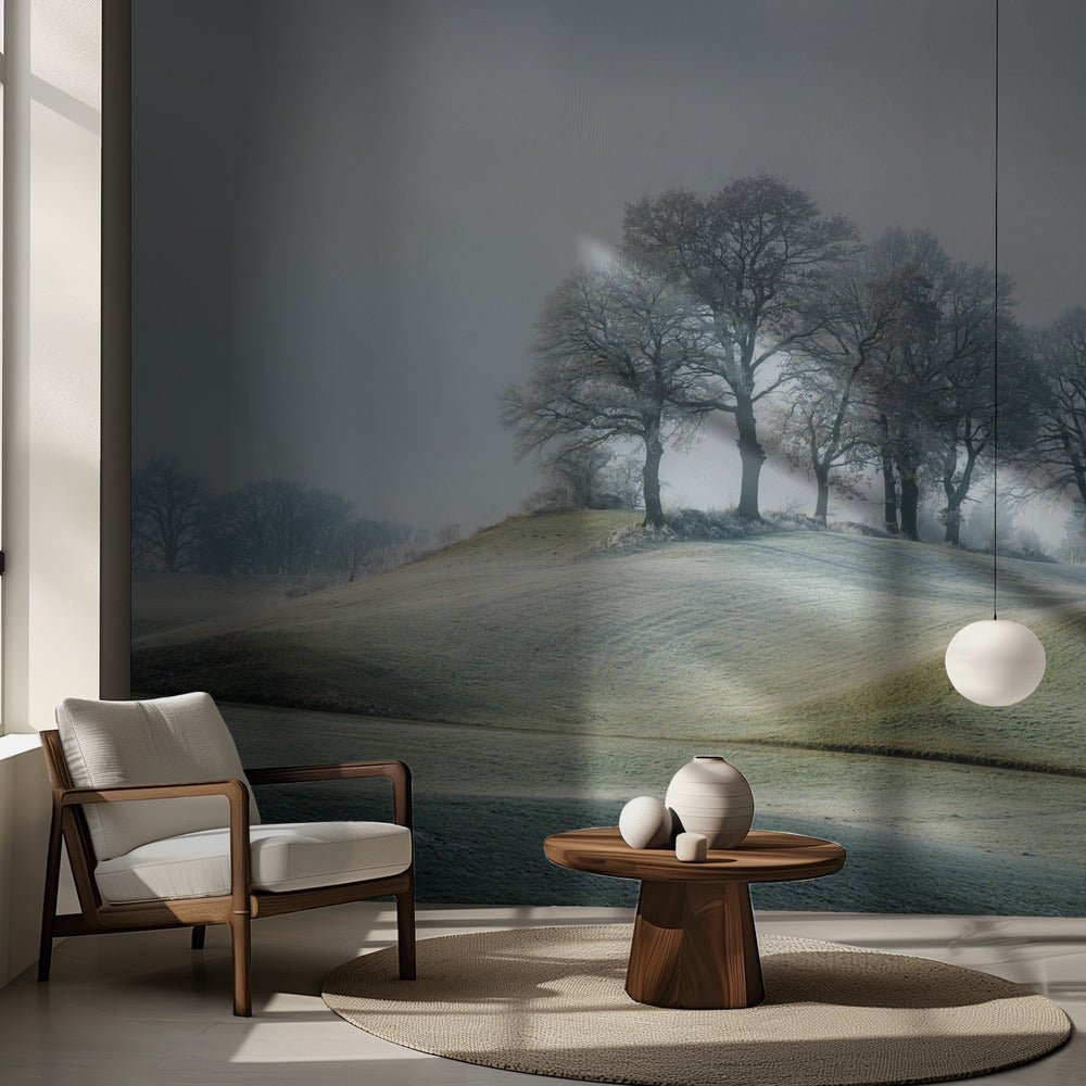 Det är inte i Toscana | Fototapet