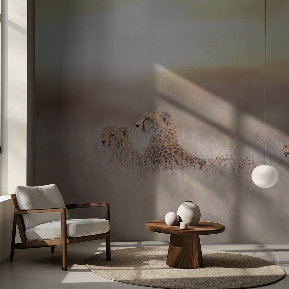 Gepardfamiljen | Fototapet
