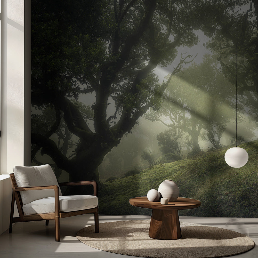 Förtrollad skog | Fototapet