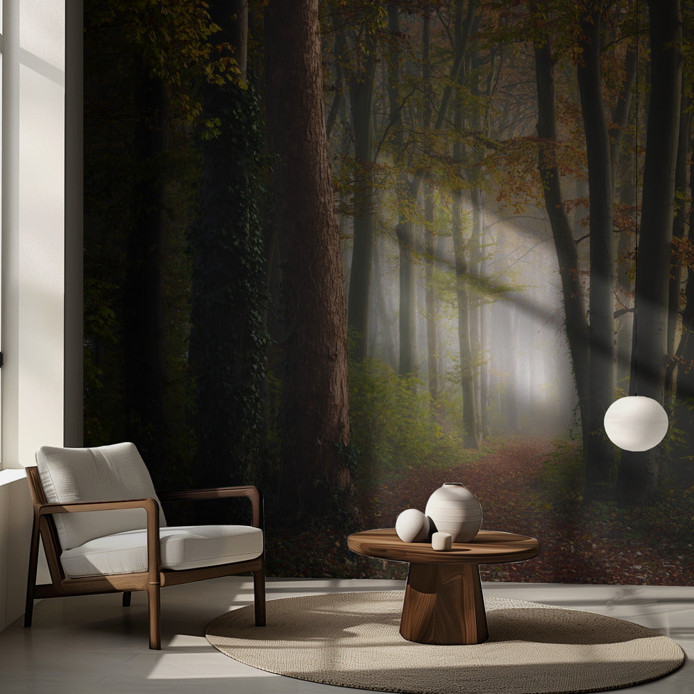 Färgglad höstskog | Fototapet