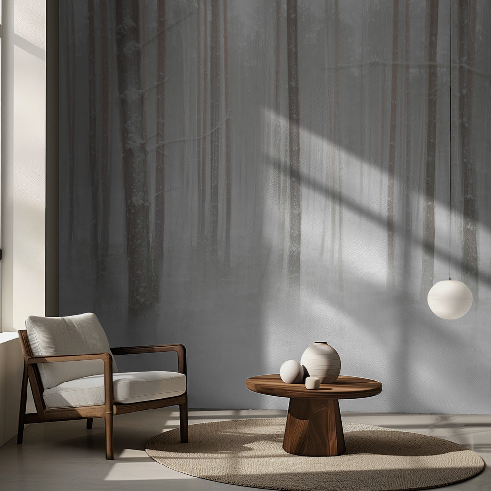 Vinterskog i Sverige | Fototapet