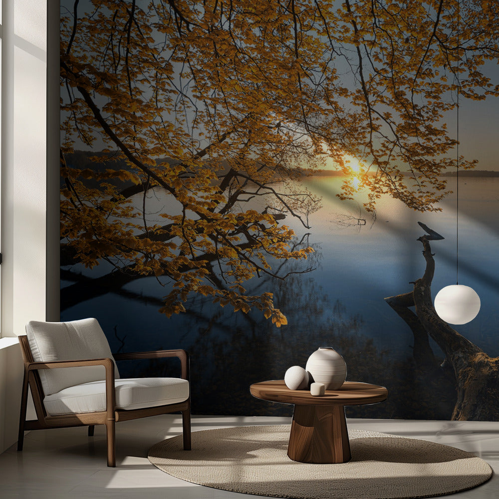 Höstmorgon | Fototapet