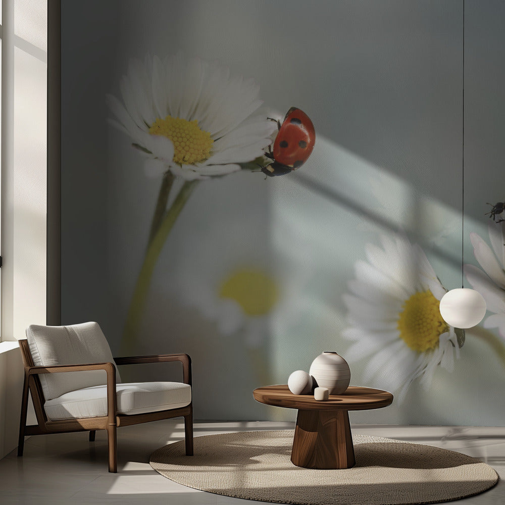 Vårtid.... | Fototapet