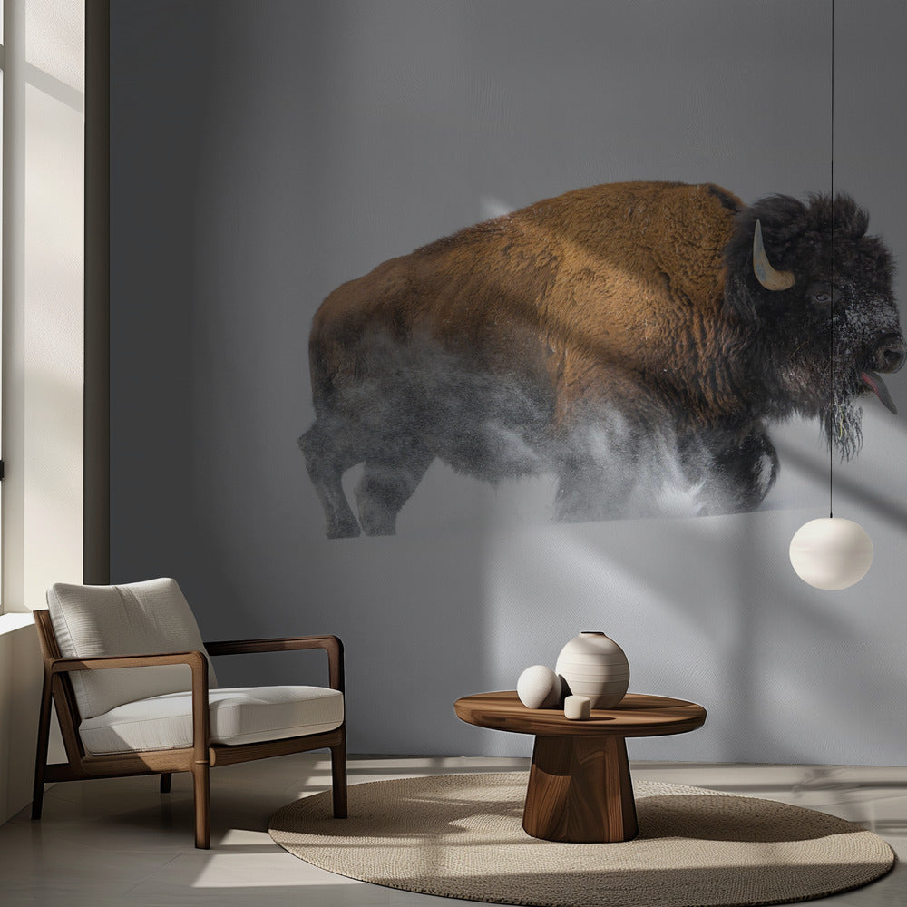 Bison i snön | Fototapet