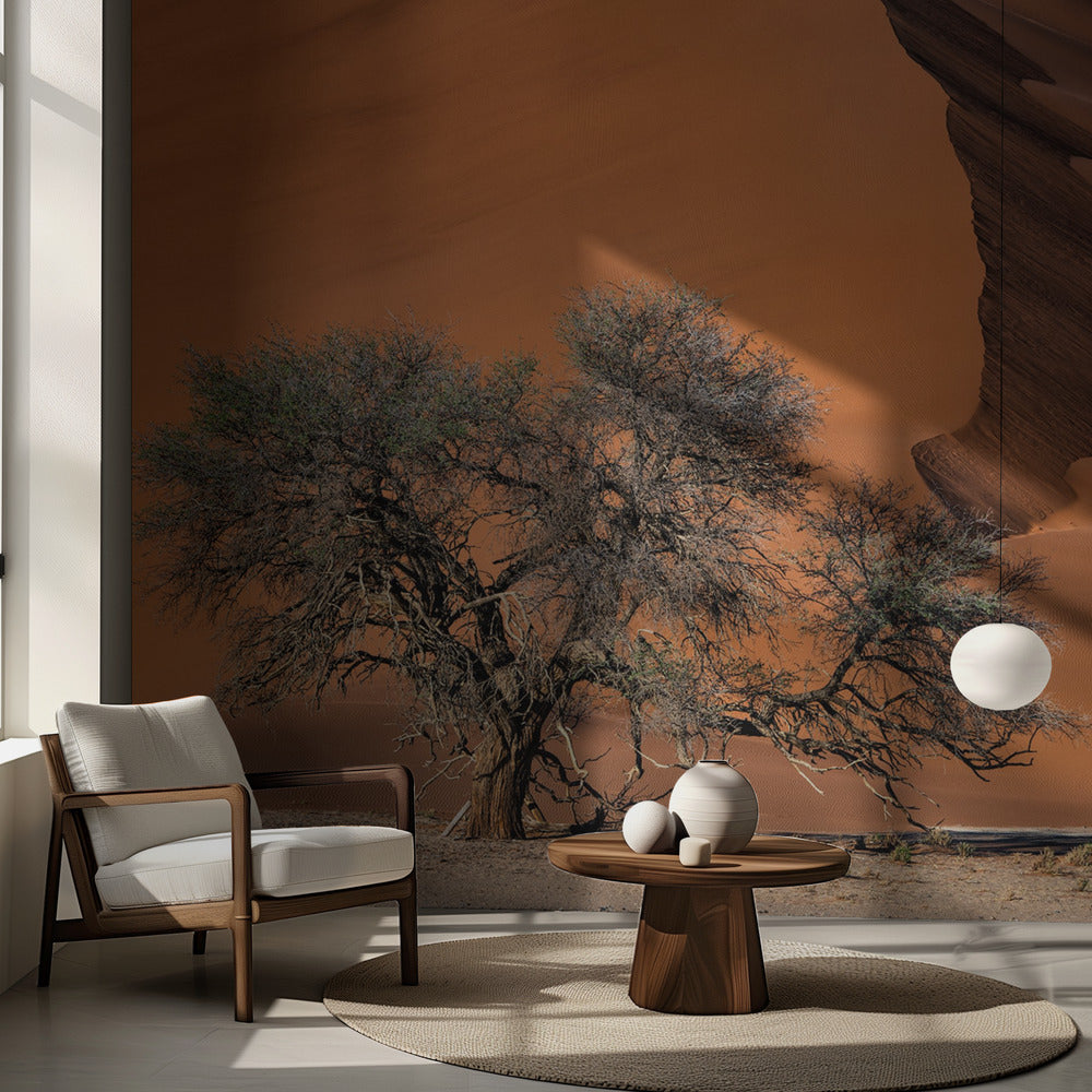 Akacia i öknen | Fototapet