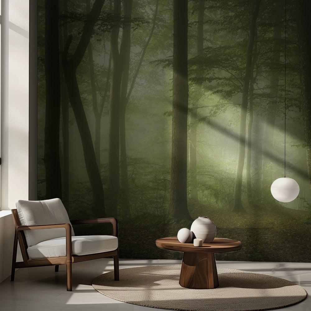 Mystisk vårmorgon | Fototapet