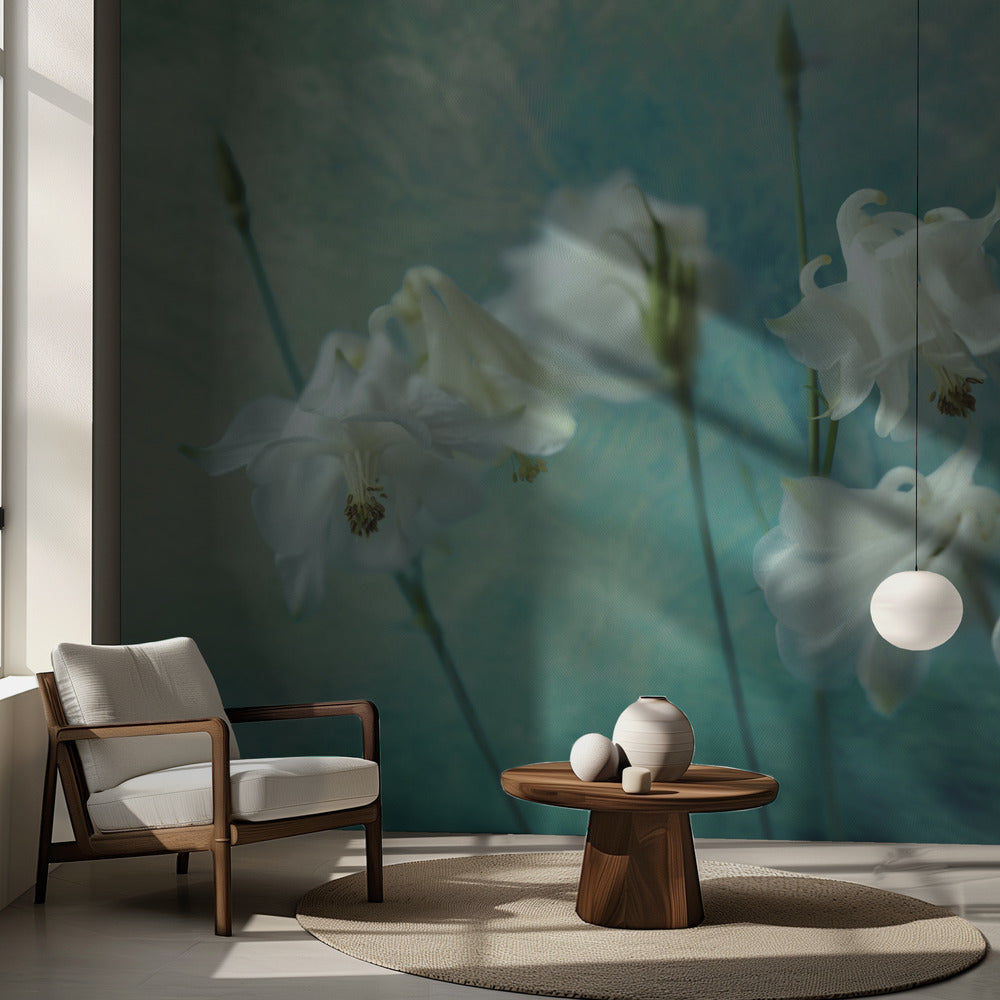 Törnekronor | Fototapet