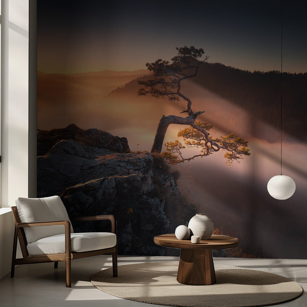 Sokolica | Fototapet