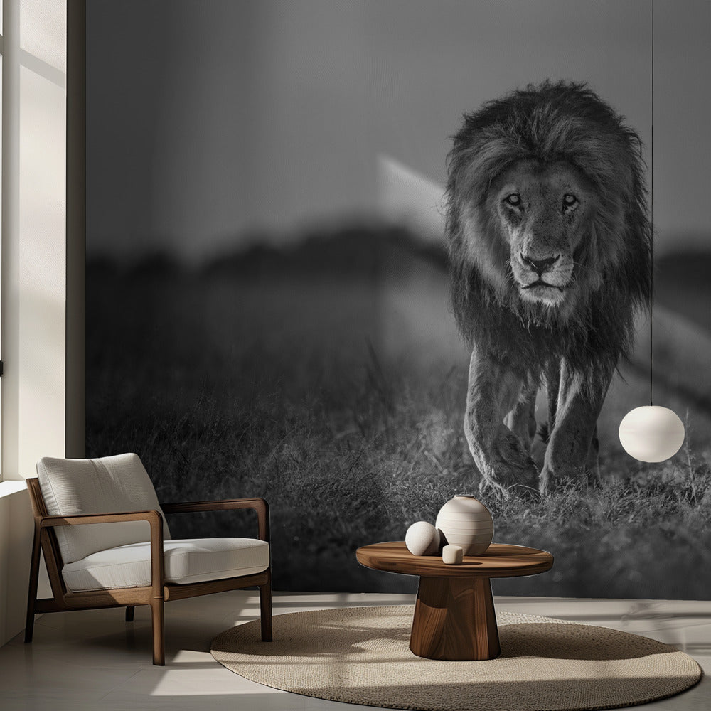 Gammal pojke | Fototapet