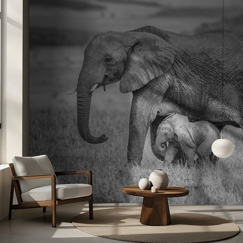 Att hålla sig nära och skyddad | Fototapet