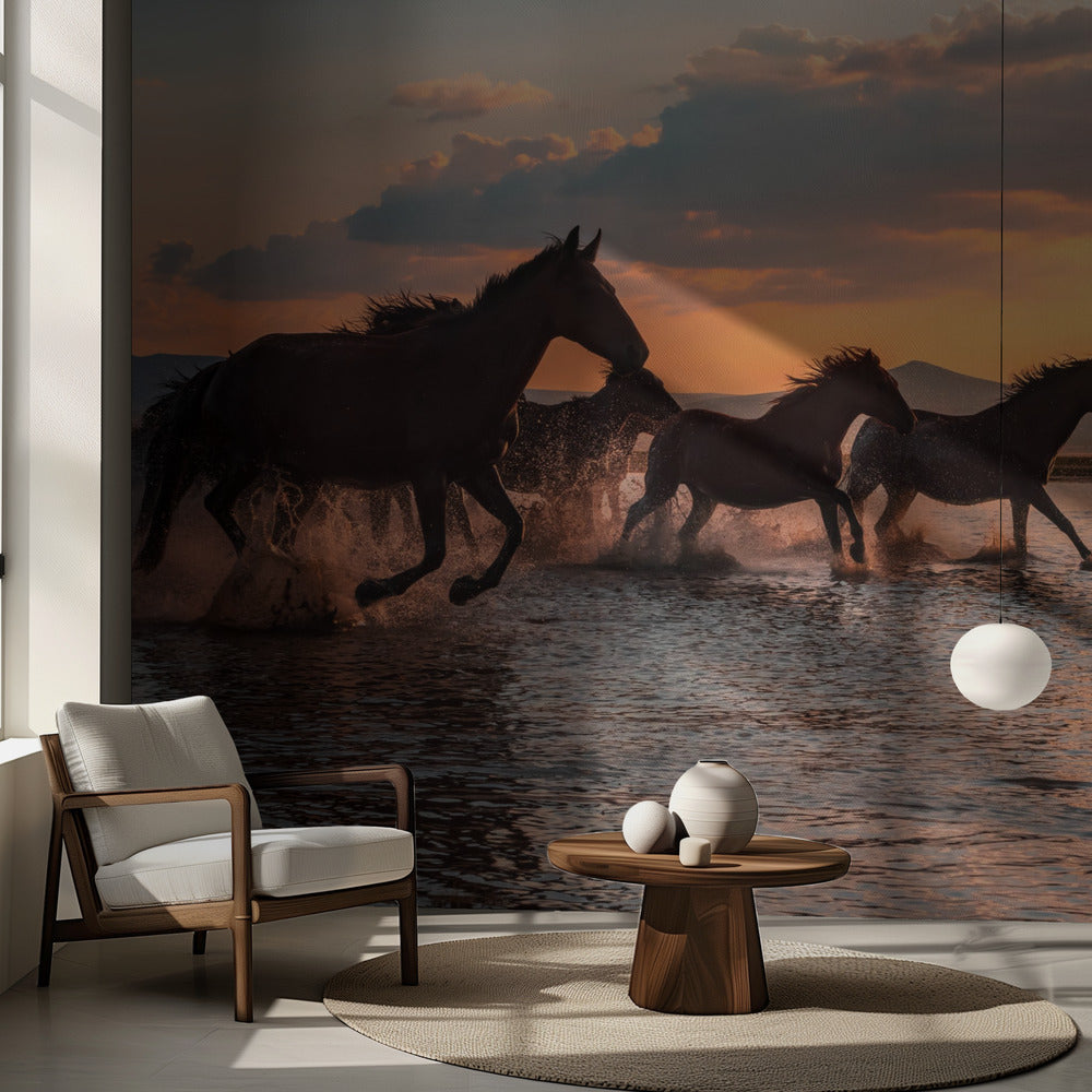 VATTENHÄSTAR | Fototapet