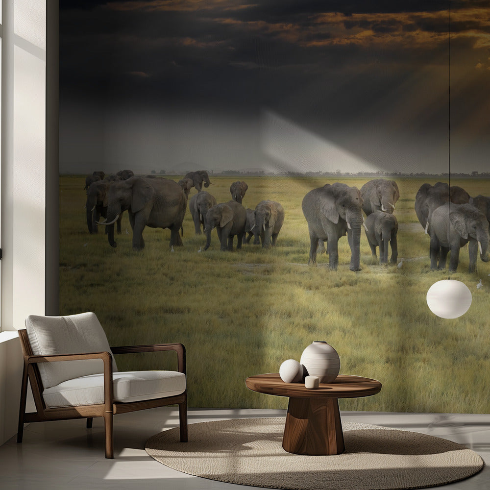 För elefanternas kärlek | Fototapet