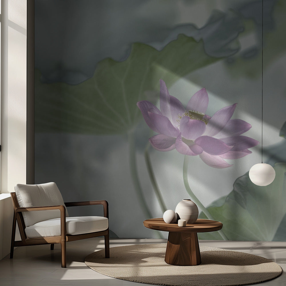 Lotusblomma | Fototapet