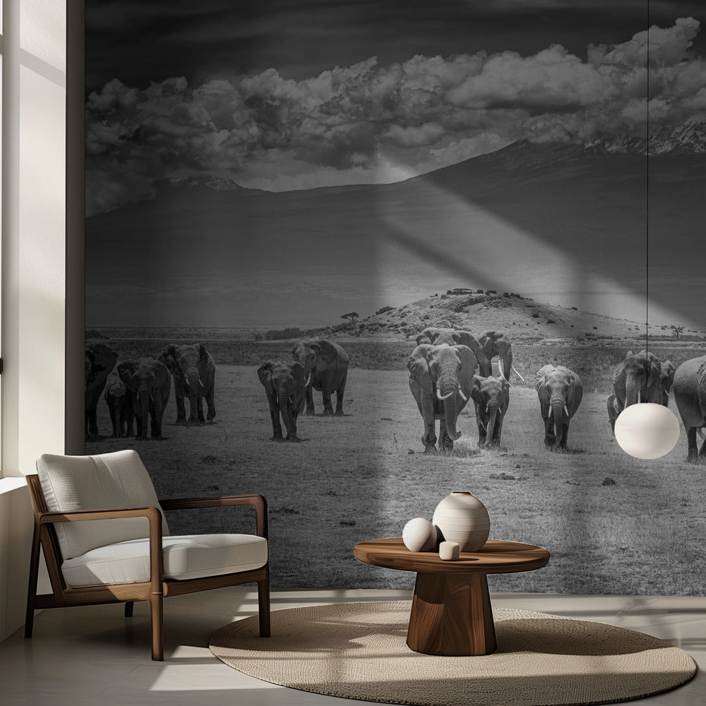 Titanerna | Fototapet