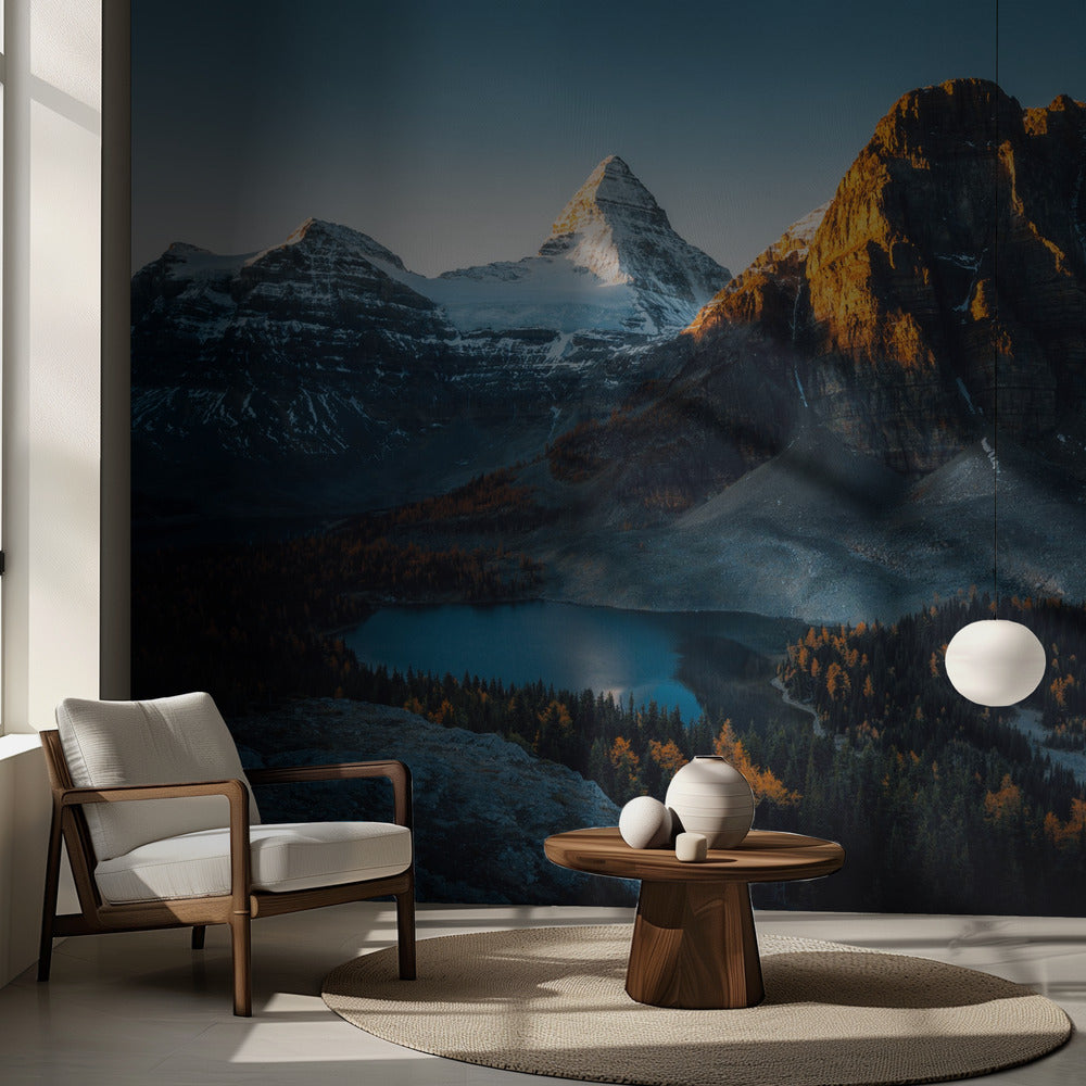 Morgonens solljus | Fototapet